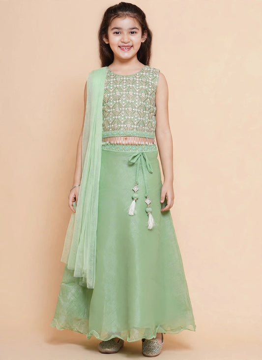Side view of sleeveless pista green embroidered choli and plain lehenga skirt